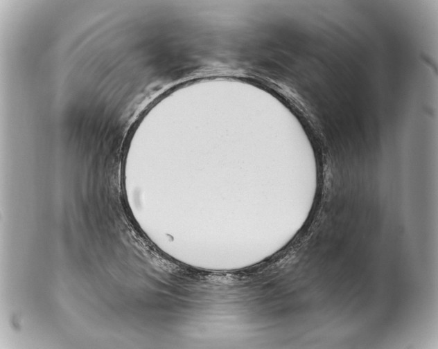 X0000099321220200805301208