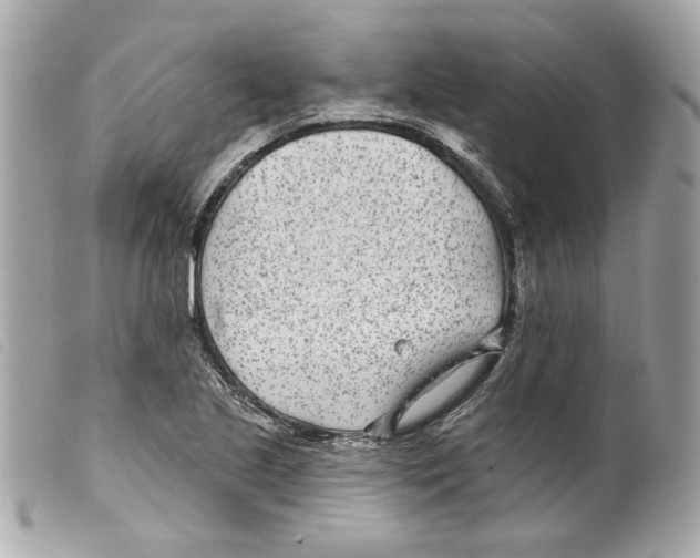 X0000099321221200805301208