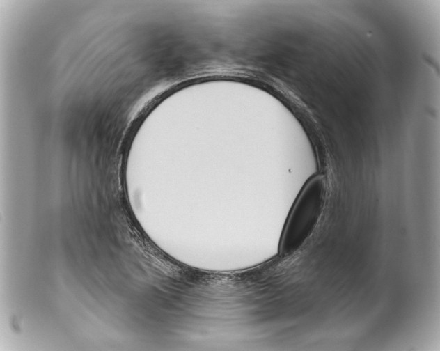 X0000099321222200805301208