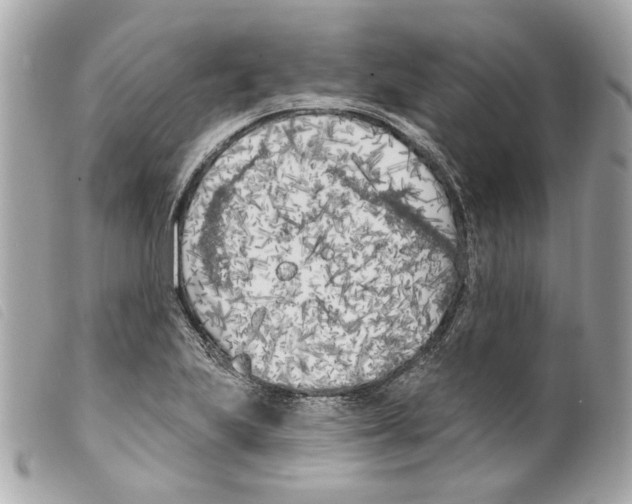 X0000099321223200805301208