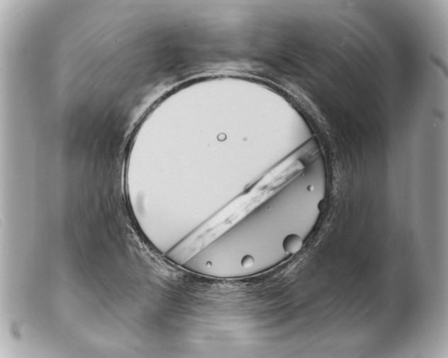 X0000099321224200805301208