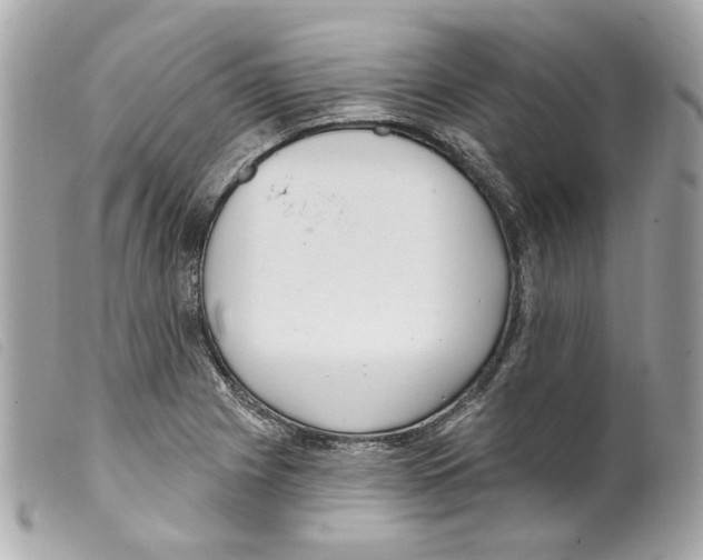 X0000099321225200805301208