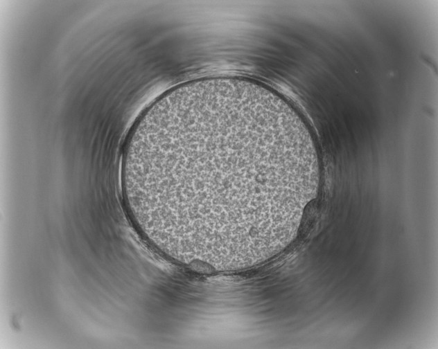 X0000099321227200805301208