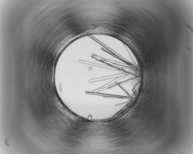 X0000099321228200805301208