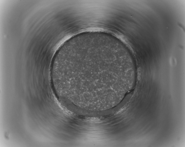 X0000099321229200805301208