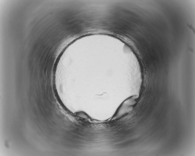 X0000099321231200805301208