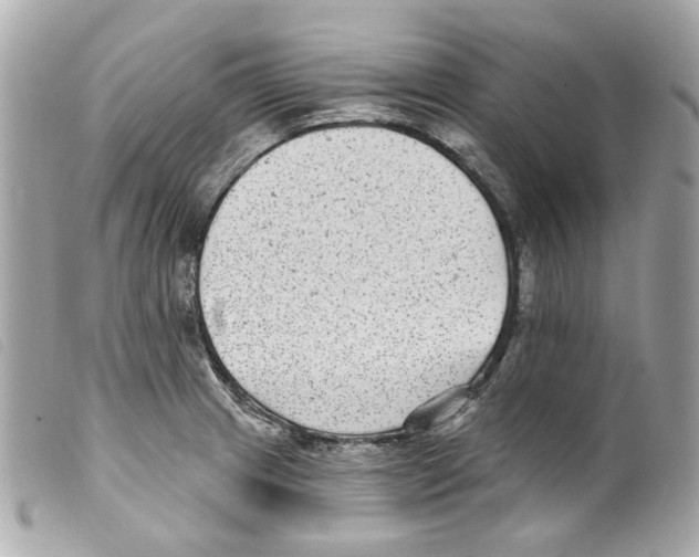X0000099321233200805301208
