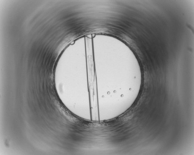 X0000099321234200805301208