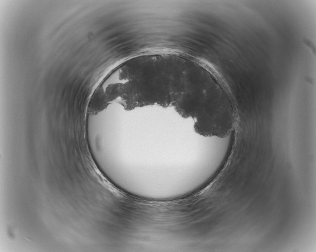 X0000099321236200805301208
