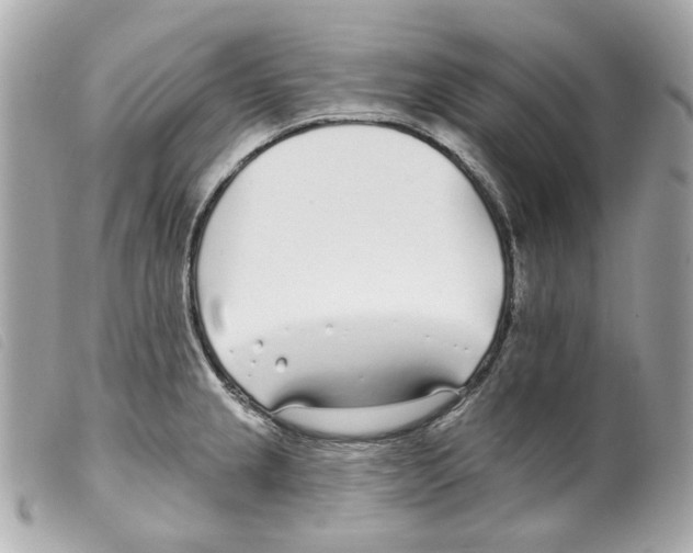 X0000099321237200805301209