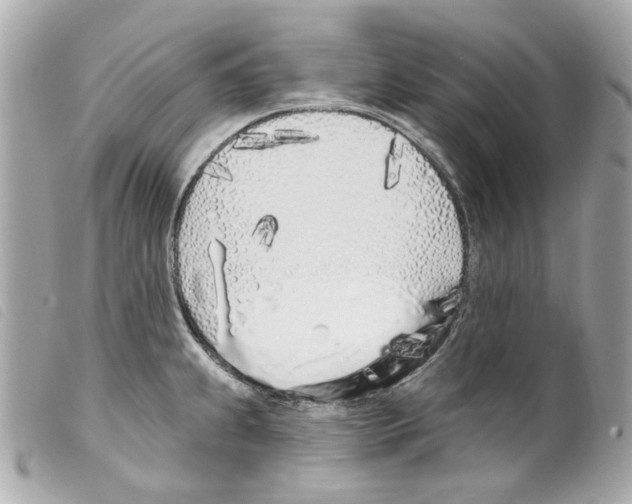 X0000099321239200805301209