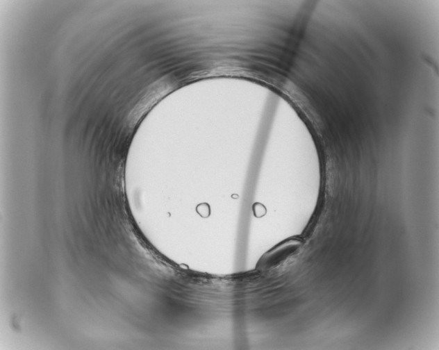 X0000099321241200805301209