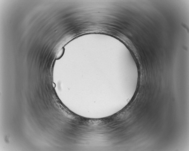 X0000099321242200805301209