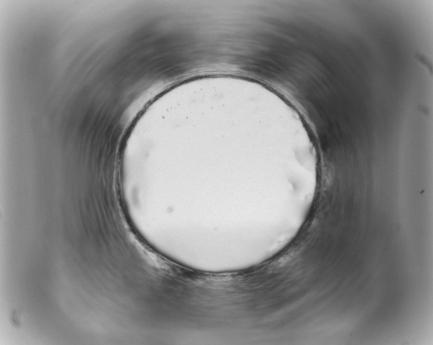 X0000099321245200805301209