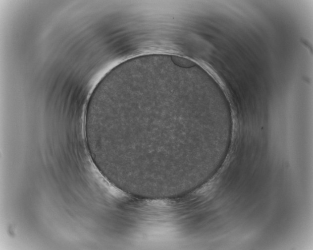 X0000099321246200805301209