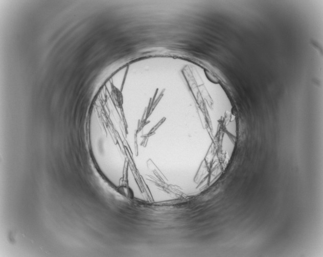 X0000099321247200805301209
