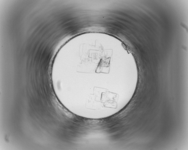 X0000099321248200805301209