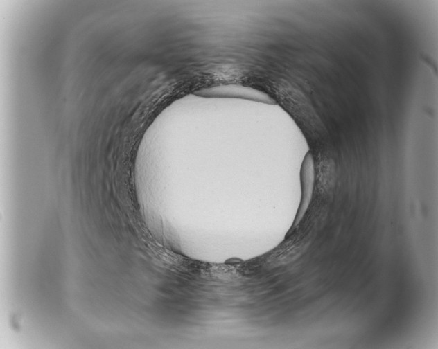 X0000099321249200805301208