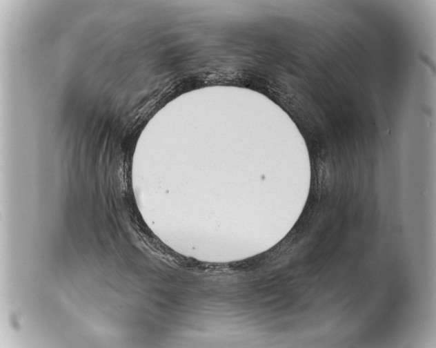 X0000099321250200805301208