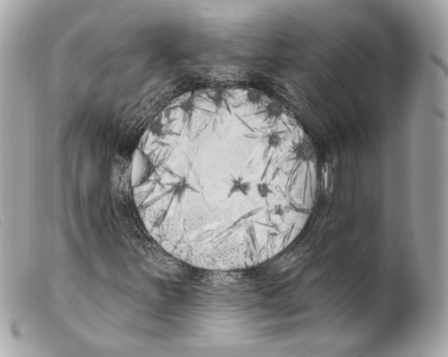 X0000099321251200805301208