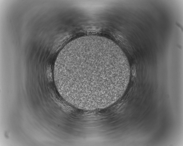 X0000099321252200805301208