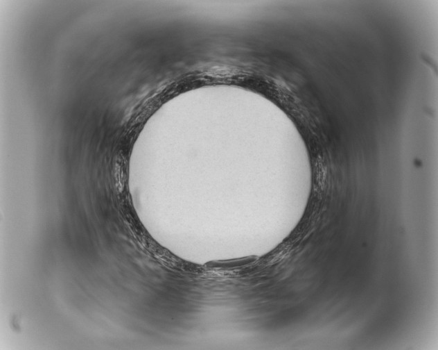 X0000099321253200805301208