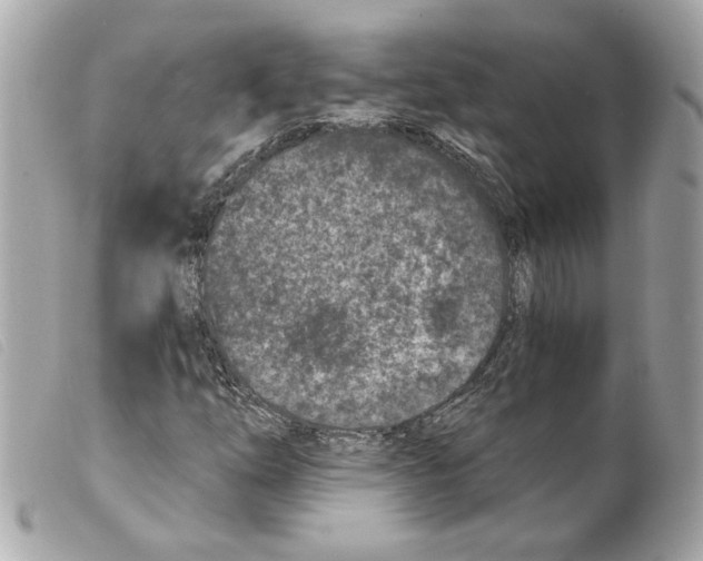 X0000099321254200805301208