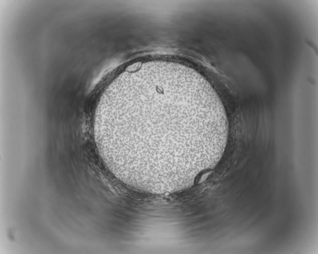 X0000099321255200805301208