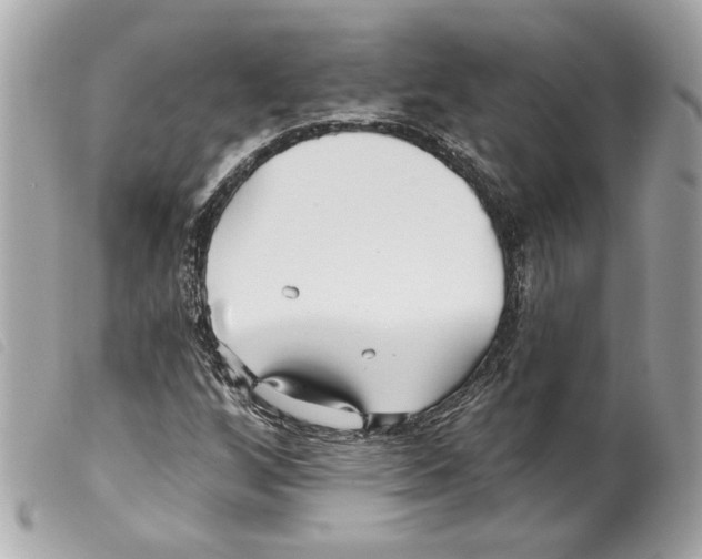 X0000099321256200805301208