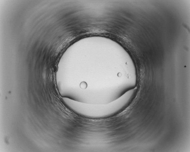 X0000099321257200805301208
