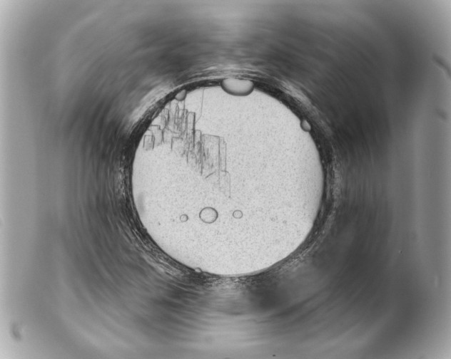 X0000099321259200805301208