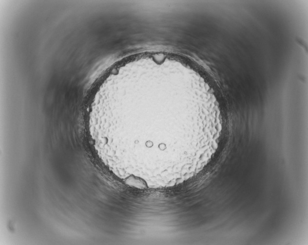 X0000099321263200805301208