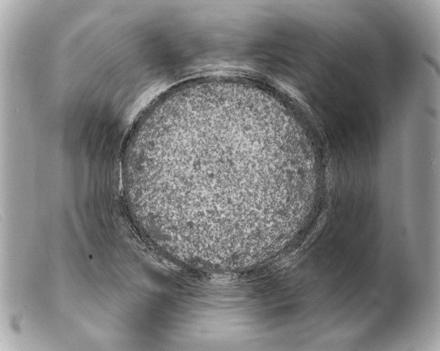 X0000099321267200805301208