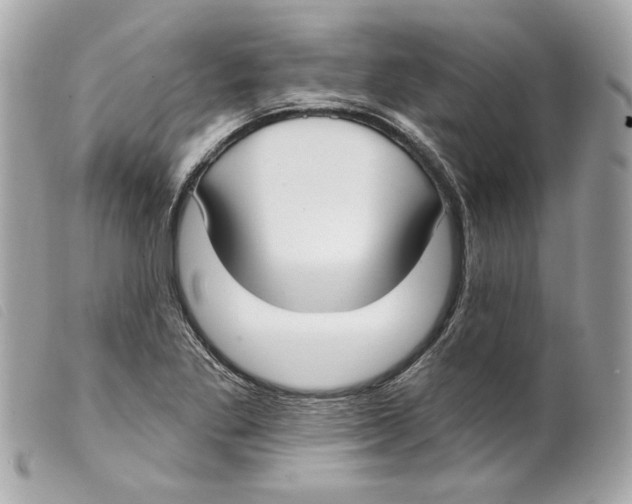 X0000099321269200805301208