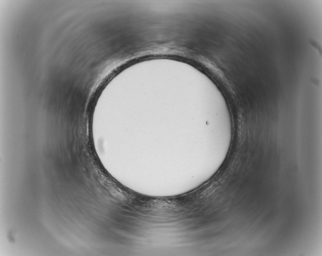 X0000099321270200805301208