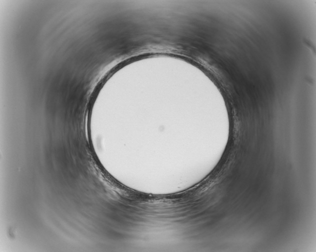 X0000099321272200805301208