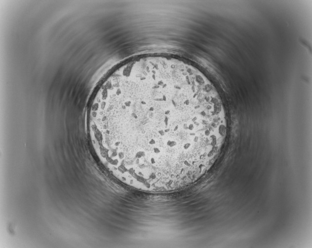 X0000099321275200805301207