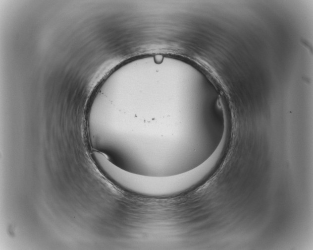 X0000099321277200805301207