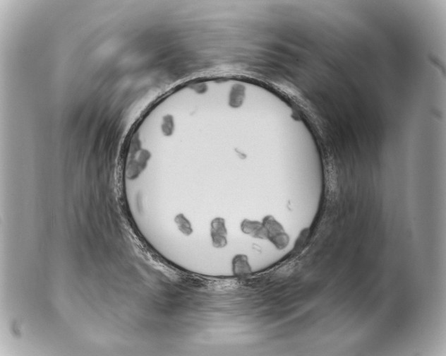 X0000099321278200805301207