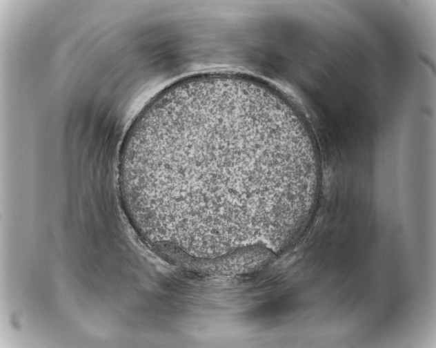 X0000099321279200805301207