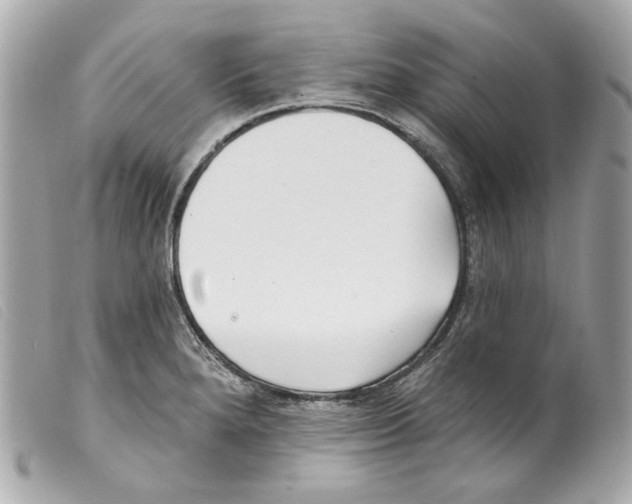 X0000099321280200805301207