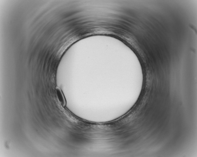 X0000099321281200805301207