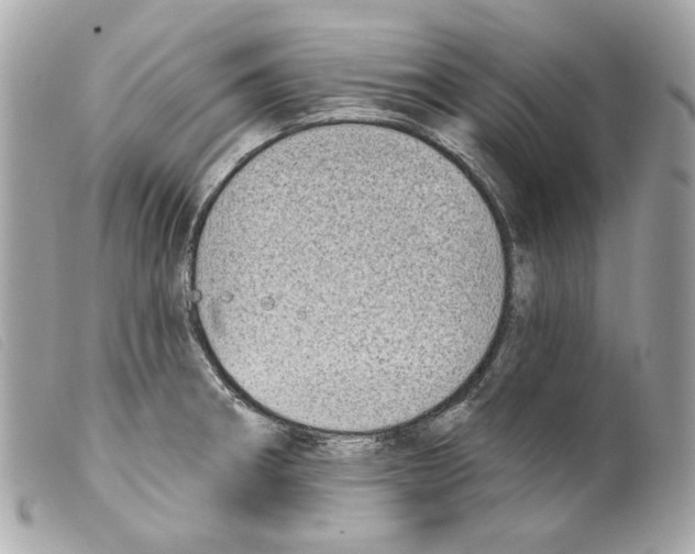 X0000099321282200805301207