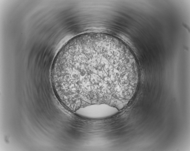 X0000099321283200805301207