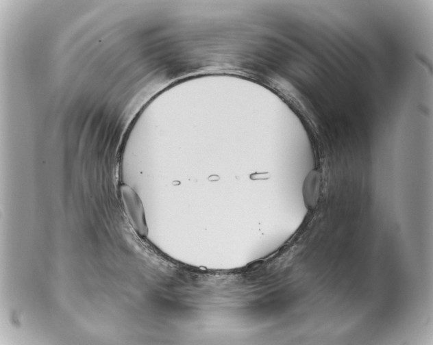 X0000099321284200805301207