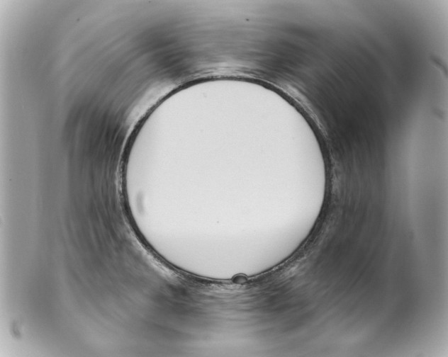 X0000099321285200805301207