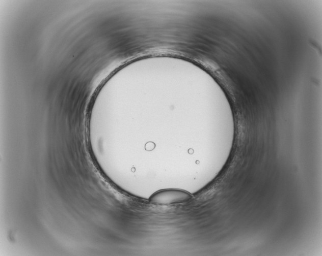 X0000099321286200805301207