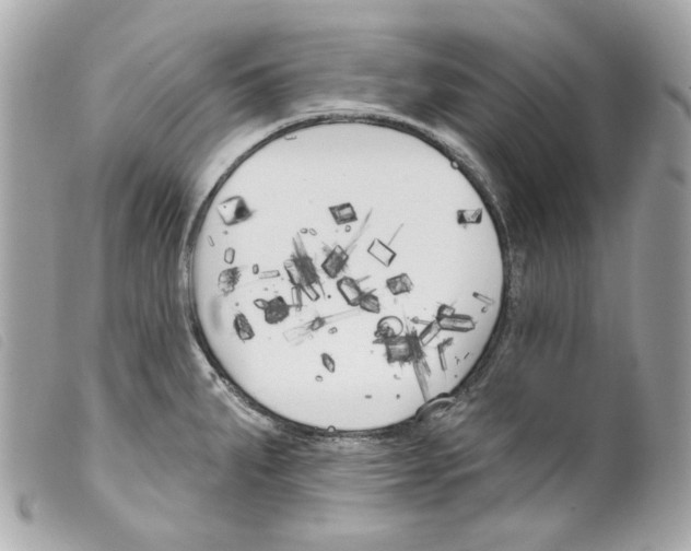 X0000099321287200805301207