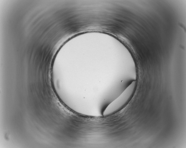 X0000099321288200805301207