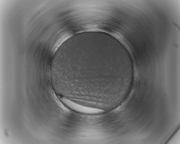 X0000099321289200805301207